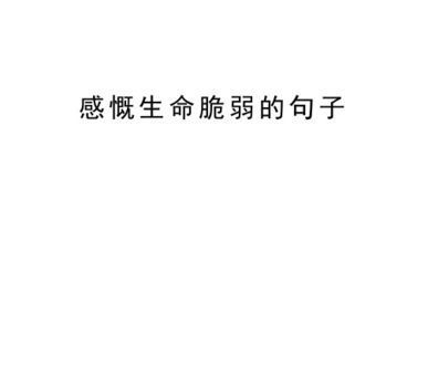 反脆弱的29条金句,脆弱的人生感悟的句子?_点燃你的生命力量!