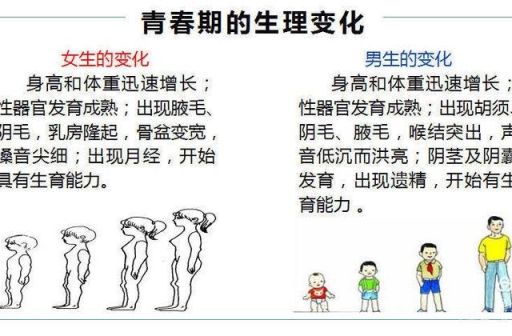 青春期为啥变了变内向了,为什么越长大越内向?