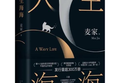 《人生海海》-麦家,麦家的人生海海好看吗?