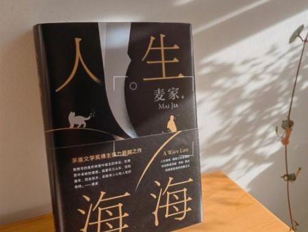 人生海海 上校,人生海海中上校肚子上的字是什么?