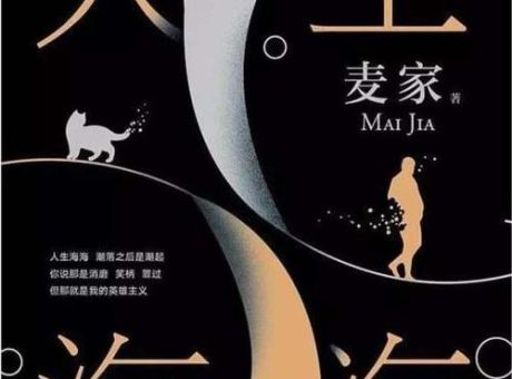 人生海海 麦家 txt,人生海海电子书免费阅读?