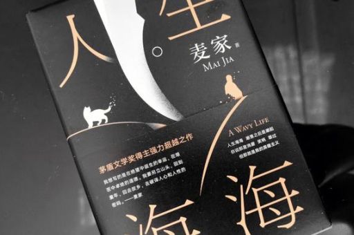 人生海海上校和父亲，《人生海海》小瞎子？