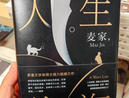 人生海海作者麦家,人生海海小说免费阅读?