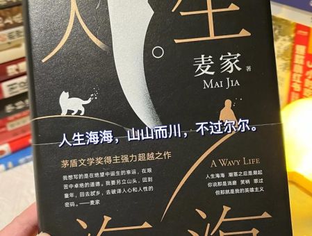 人生海海有原型吗,人生海海是麦家的真实经历吗?