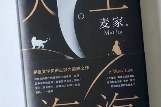 人生海海的寓意,人生海海的深层意思是什么?