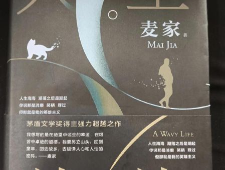 人生海海麦家小说在线阅读,人生海海电子书?