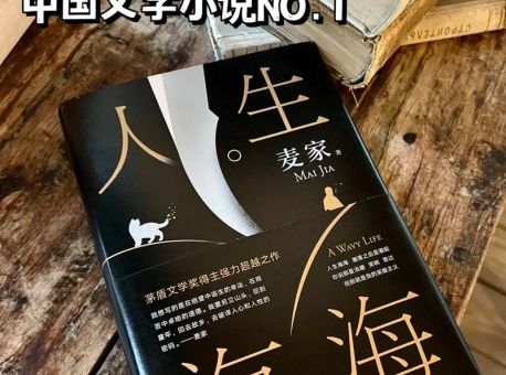 人生海海麦家小说在线阅读,人生海海电子书?