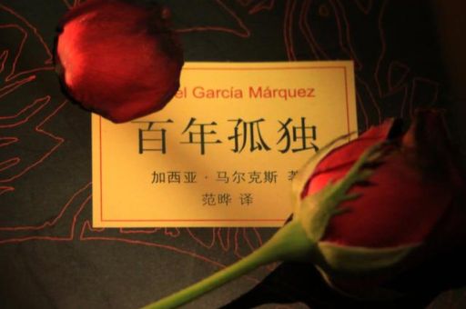 百年孤独失眠症隐喻,百年孤独失眠症是怎么治好的?