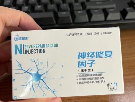 如何让大脑活跃,修复脑神经的三大名药?