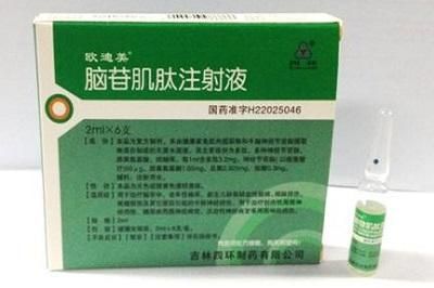 如何让大脑活跃，修复脑神经的三大名药？
