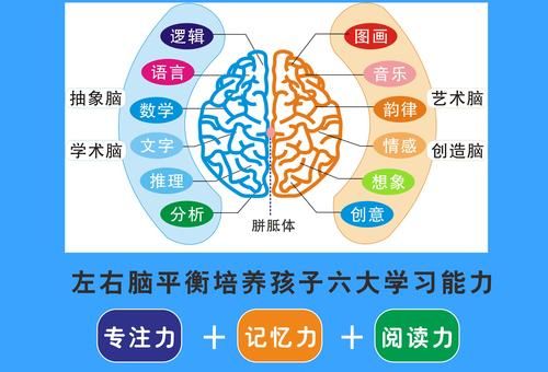 开发大脑的音乐,如何把大脑开发到100%?