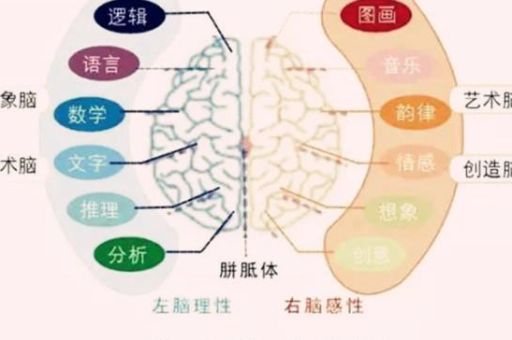 开发大脑的音乐,如何把大脑开发到100%?