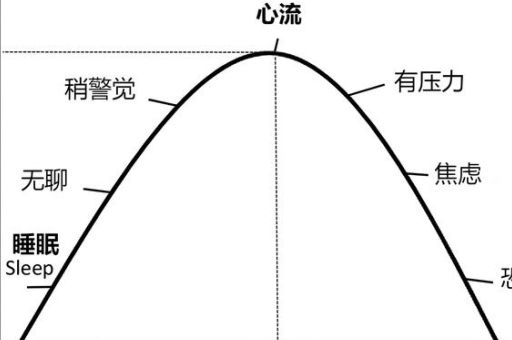 心流属于什么心理学，心理学心流状态？