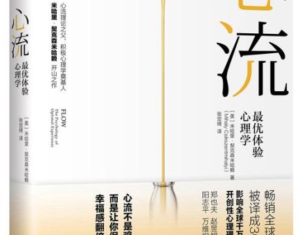 心流是什么主题,用心做事主题有哪些?