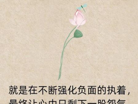 快乐的三种境界 樊登，对待生活的三种境界？