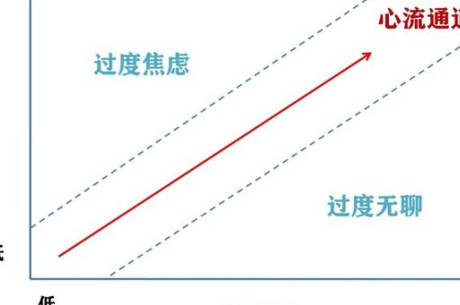楚秉杰心流状态原话,心流知乎?