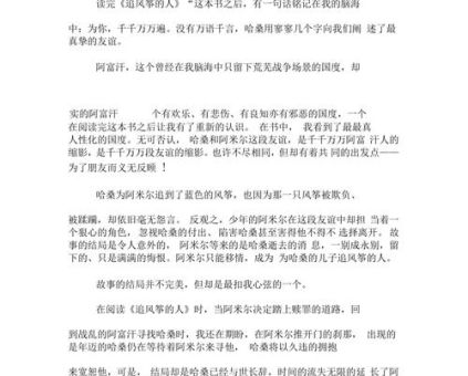 《追风筝的人》读后感