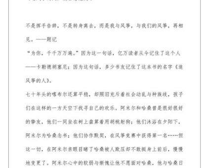 《追风筝的人》读后感