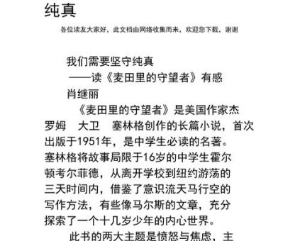 《麦田里的守望者》读后感