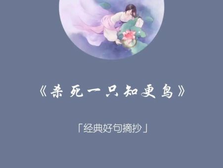 知更鸟经典句子,知更鸟是幸运还是罪恶?