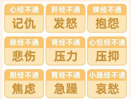 中医情绪心理学pdf,黄帝内经心理学?