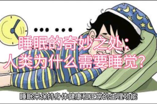人类的睡眠,人类为什么要睡觉?