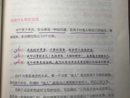 儿童的情绪安全感读后感,儿童的情绪安全感心得体会?