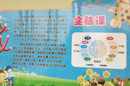全脑开发课程有用吗,全脑开发十大教育品牌?