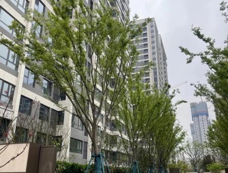 北京光和空间,北京和光尘樾楼盘?