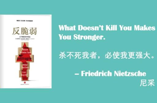 反脆弱的29条金句,反脆弱经典语句?