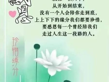 怎样度过一生,短短一句,说透人生?