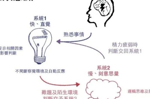 思维的快与慢阅读,快思维与慢思维?