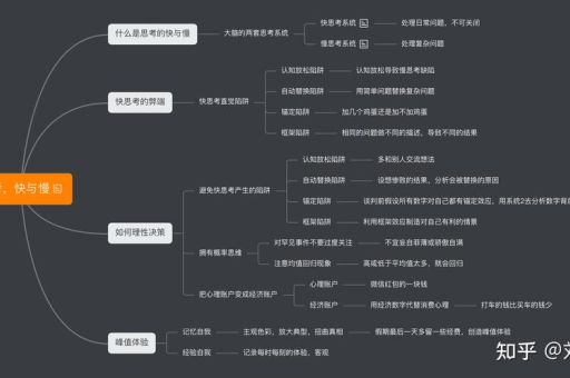 思维的快与慢阅读,思考,快与慢电子版阅读?