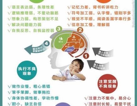 提高自控力的方法,如何提高记忆力和专注力?