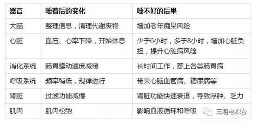 深睡眠和浅睡眠的区别,深睡眠对人体的影响?