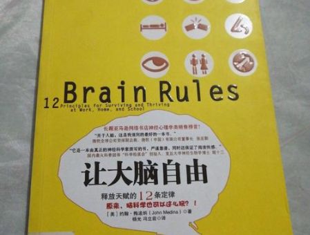 让大脑自由在线阅读，让大脑自由12条定律？