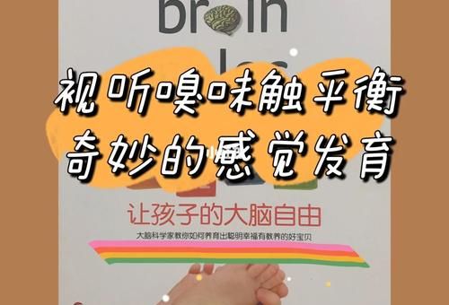 让孩子的大脑自由，让大脑自由txt免费阅读？